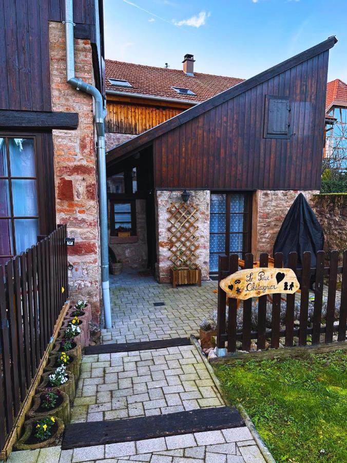 Le Petit Chataignier - Cozy Immo Chatenois  Exterior photo
